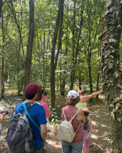 Alla scoperta del bosco (14)